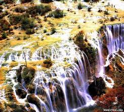 �齫����ǧ����Ƶ�����ú����򳵡����˹����������������(ͼ)...